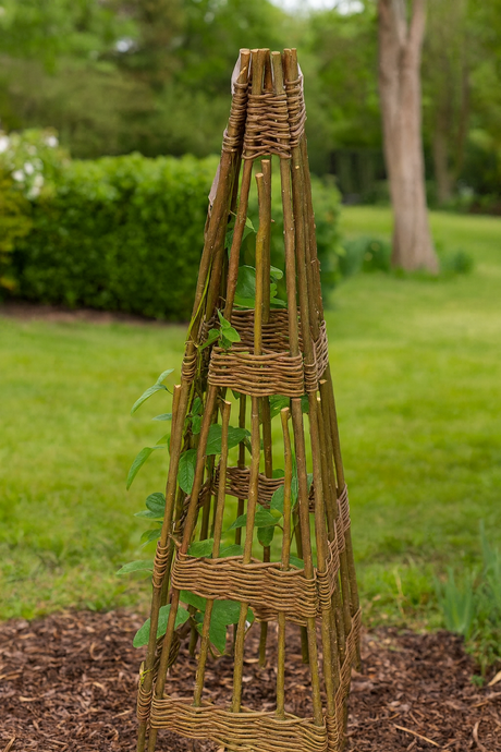 obelisk in garden
