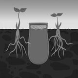 Olla Watering Pot Clay Irrigation System (Set of 2)