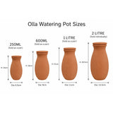 olla watering pot sizes
