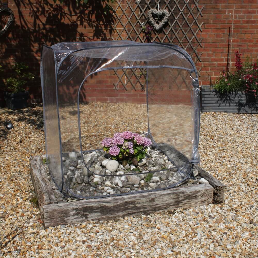 square cube growhouse cloche