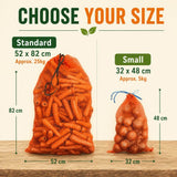 orange onion net sizes