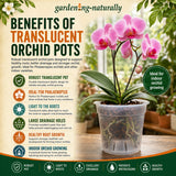 Translucent orchid pot with a pink orchid and text about its benefits on a blurred indoor garden background.