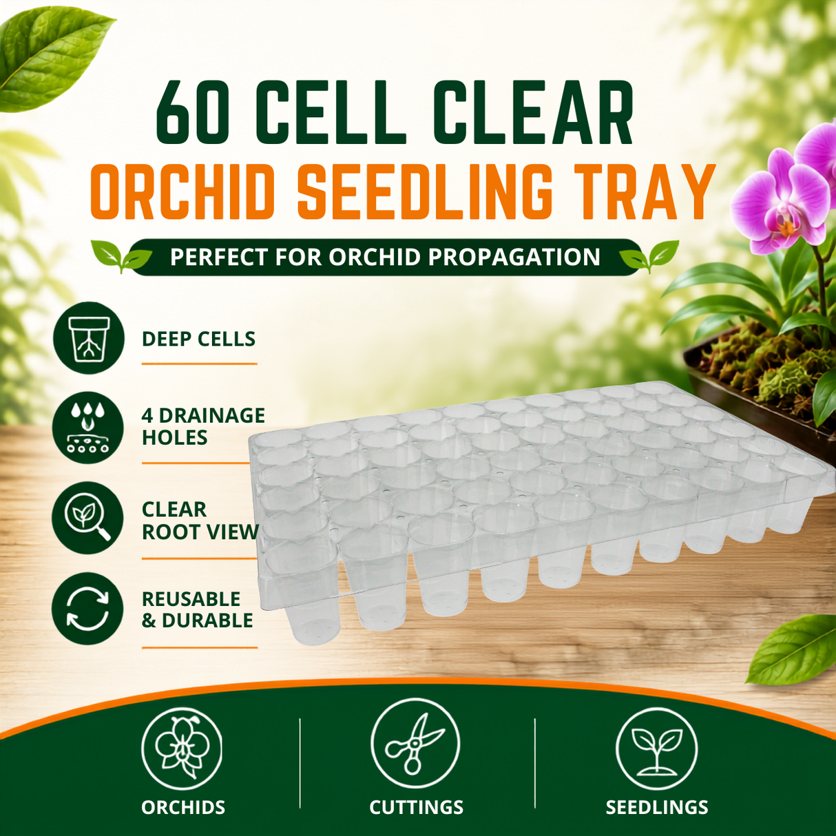 Orchid Seed Tray - 60 Cells