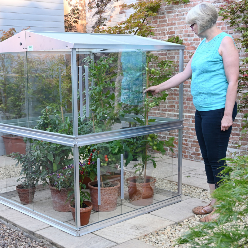 Double Tomato Greenhouse