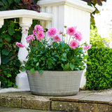 Oval Planter with pink flowers