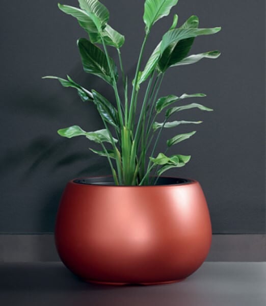 Copper Coloured Plant Pot Paisley