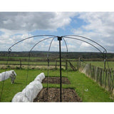 Parasol plant support in garden with strings on