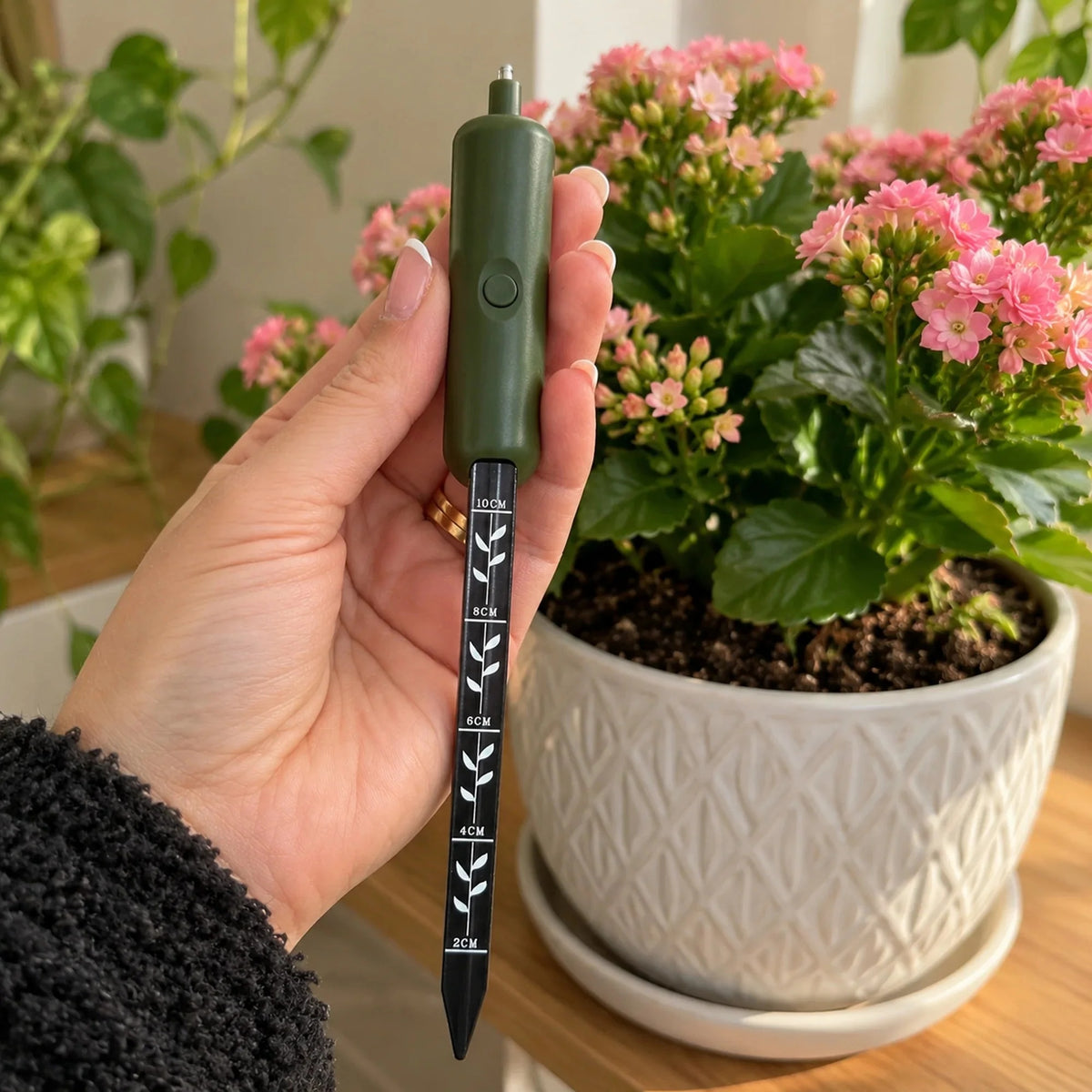 A hand holds a green and black laser level pen against a background of potted green plants.
