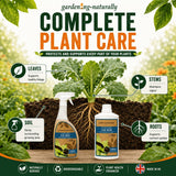 Garden-naturally Complete Plant Care promotional graphic showing two labeled products in front of a plant with leaves, stems, soil, and roots. Large text reads 'Complete Plant Care' with callouts for leaves, stems, soil, and roots, plus icons for naturally derived, biodegradable, plant health enhancer, and made in UK.