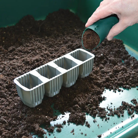 plant fast root cells on garden tray