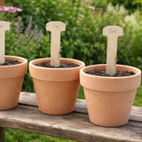 wooden t shaped plant labels in pots in garden
