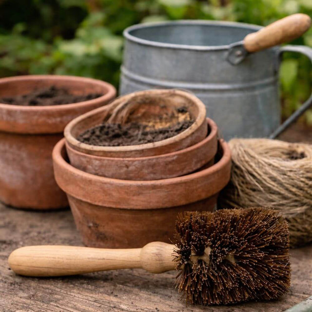 Set of terracotta pots, a metal watering can, and a pot brush on a wooden surface 