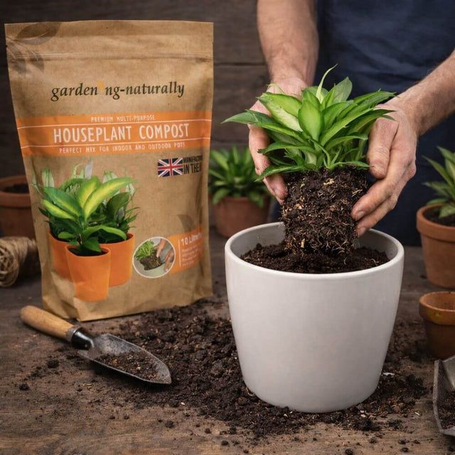 Person potting a plant with garden compost next to a bag of houseplant compost.