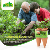 pack of 4 watering spikes