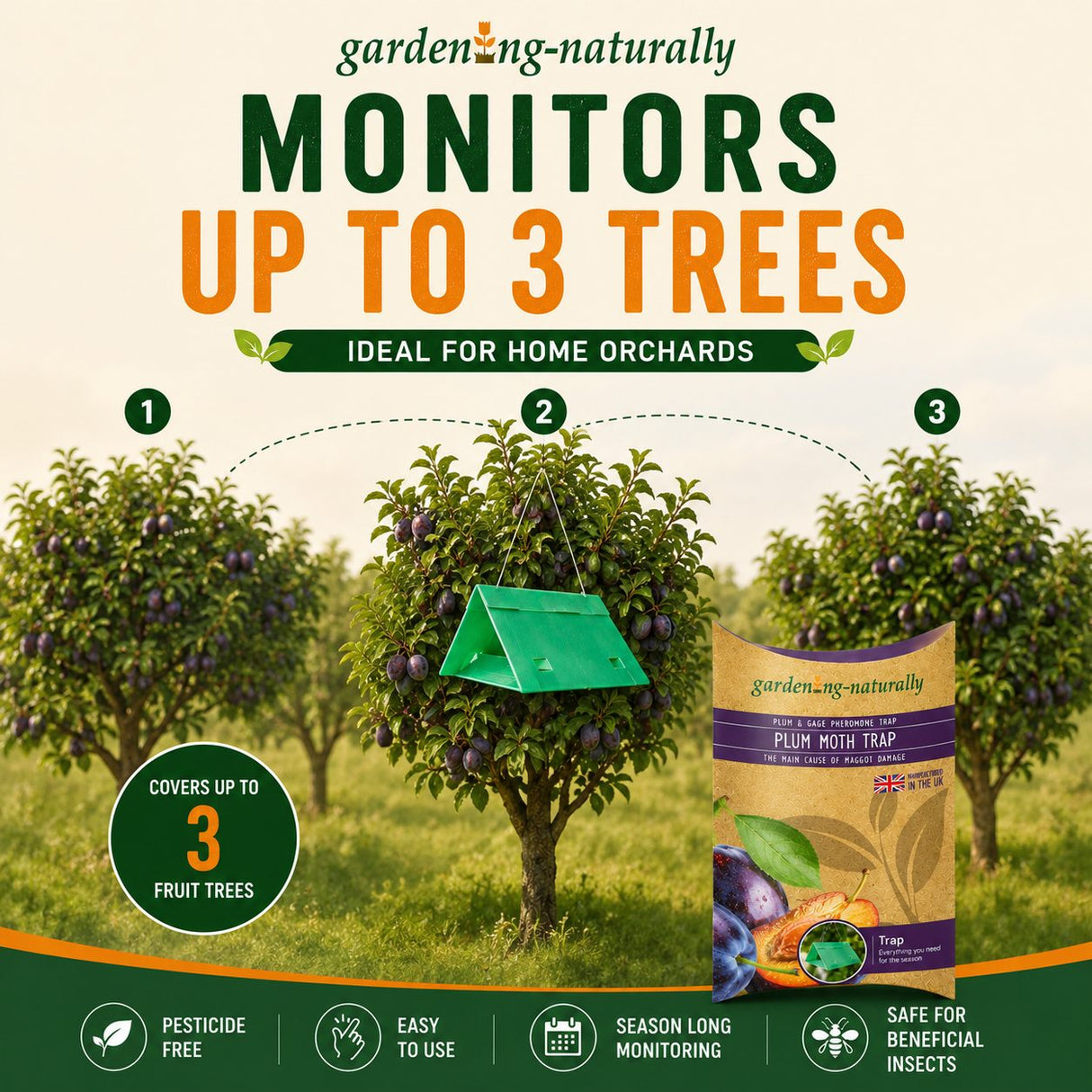 plum moth trap showing protects 3 trees