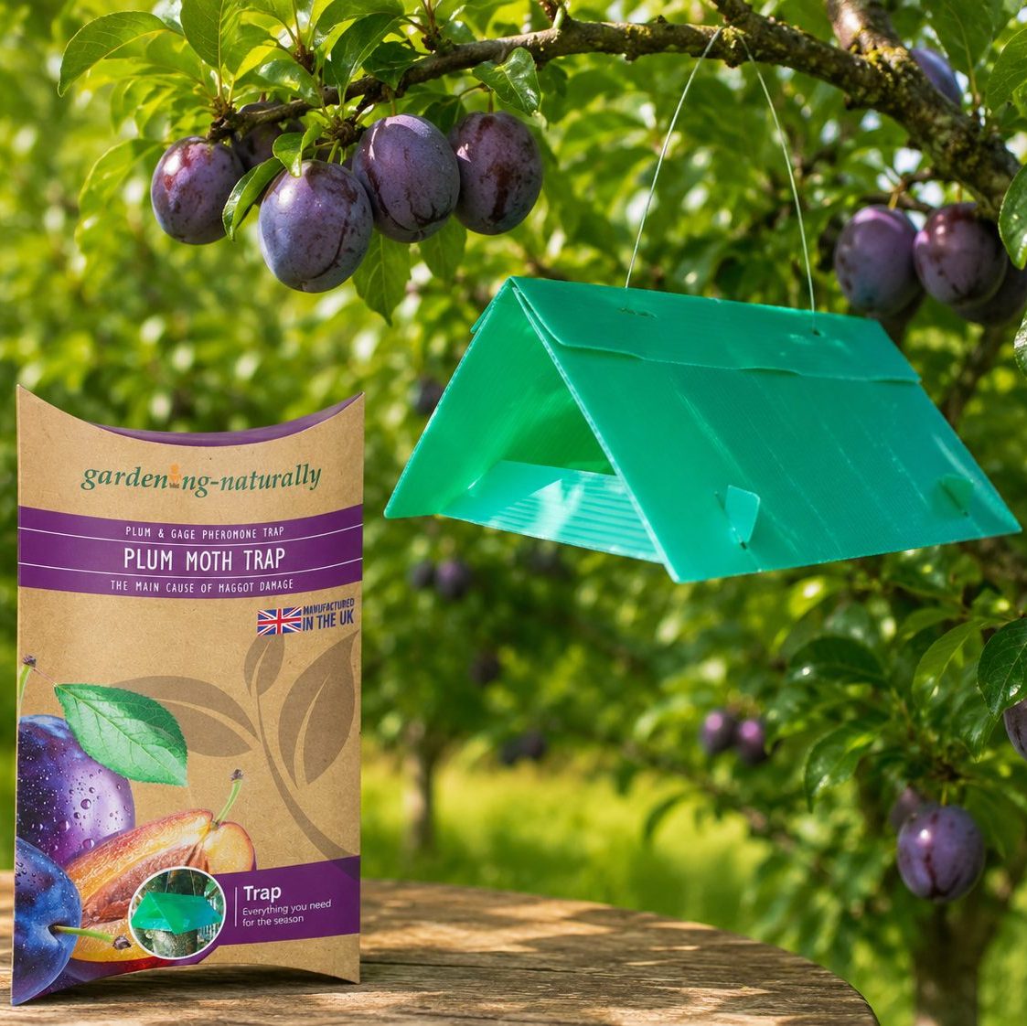 Plum moth trap packaging with a green trap hanging from a tree in an orchard.