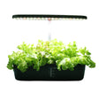 Black indoor garden propagator with green lettuce under a LED light on a white background