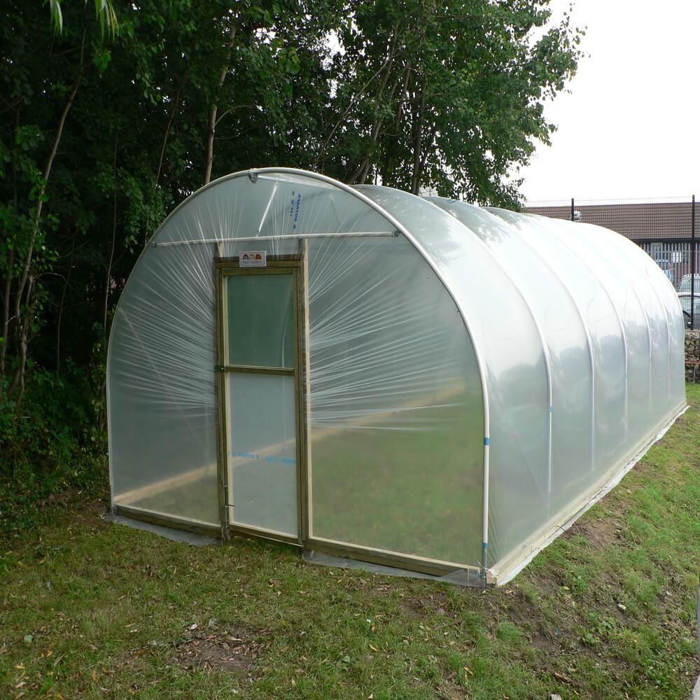 Polycarbonate greenhouse on a grassy area with trees in the background