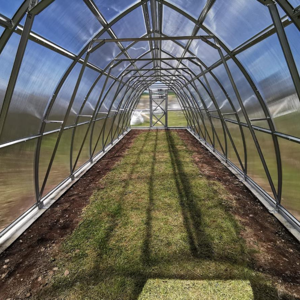 interior of garden greenhouse arrow