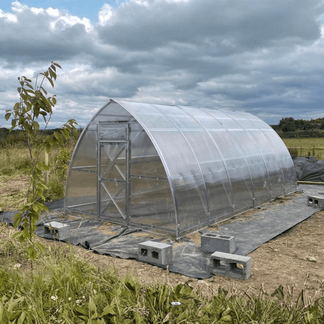 Partial construction of a greenhouse with transparent plastic covering in an outdoor setting.