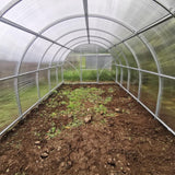 inside of greenhouse polytunnel