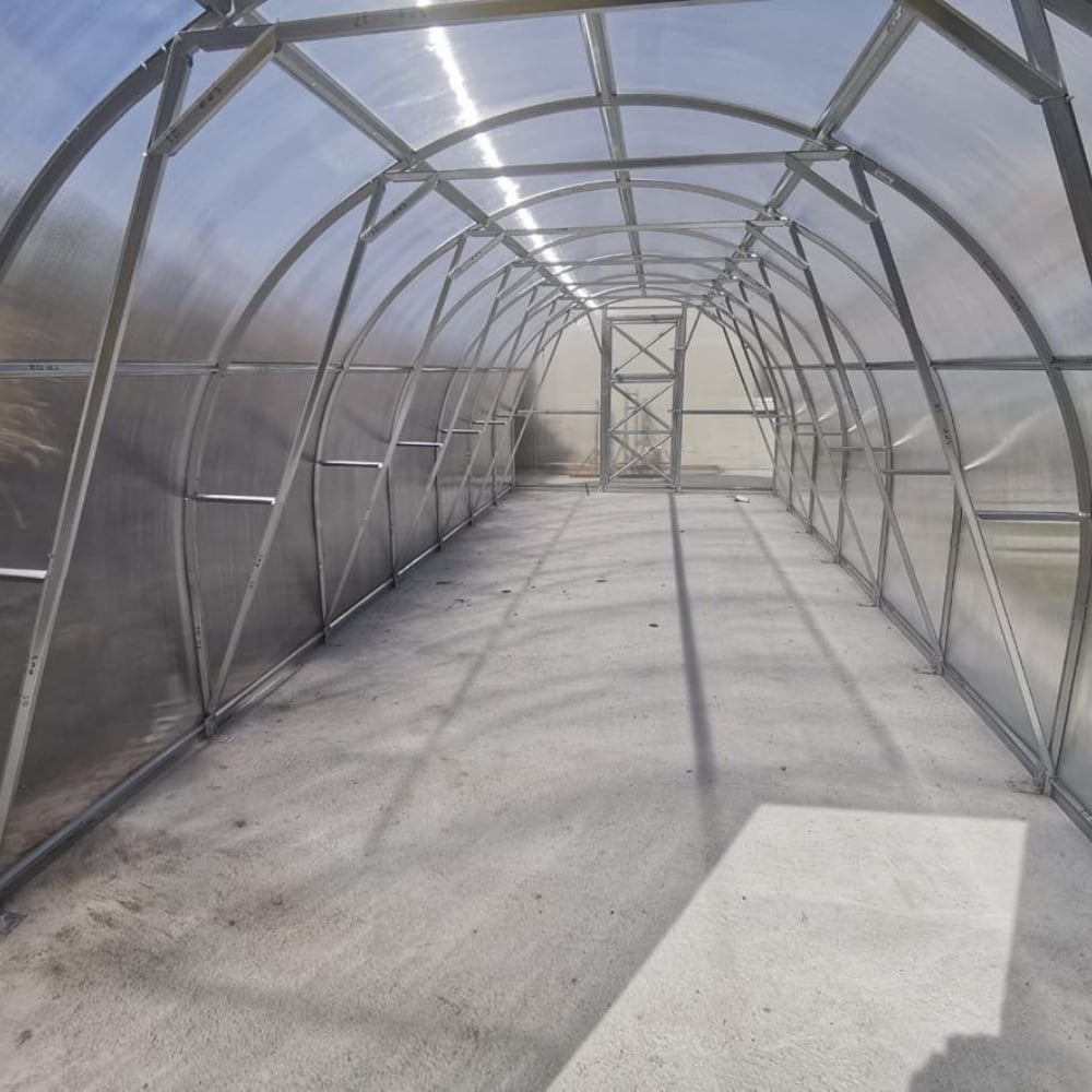 interior of polytunnel greenhouses