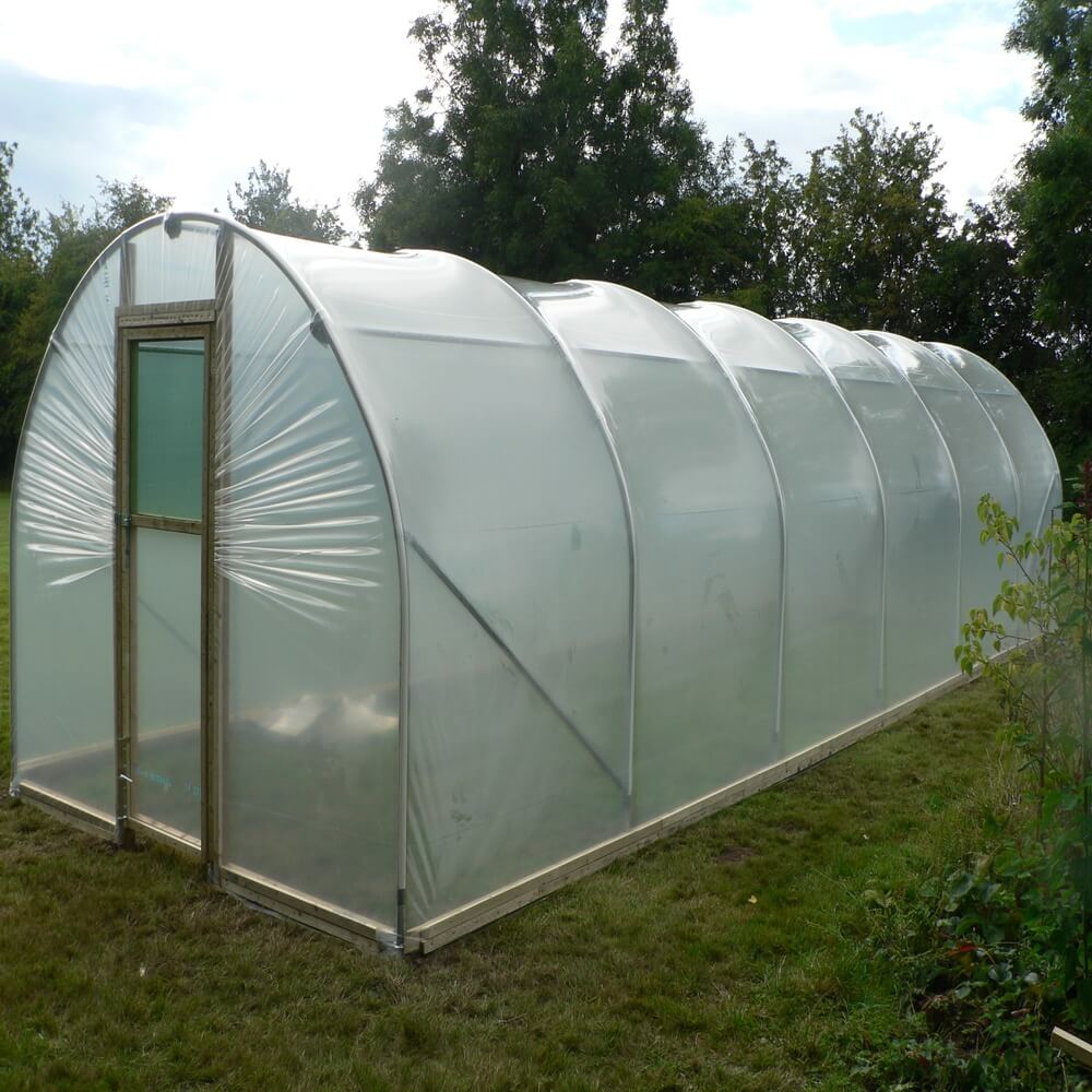 Polycarbonate greenhouse with transparent covering on a grassy area with trees in the background