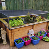 Wooden raised garden pond with plants and colorful pots on a patio