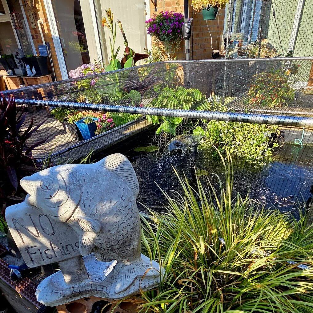 Pond Protection Frame with Netting