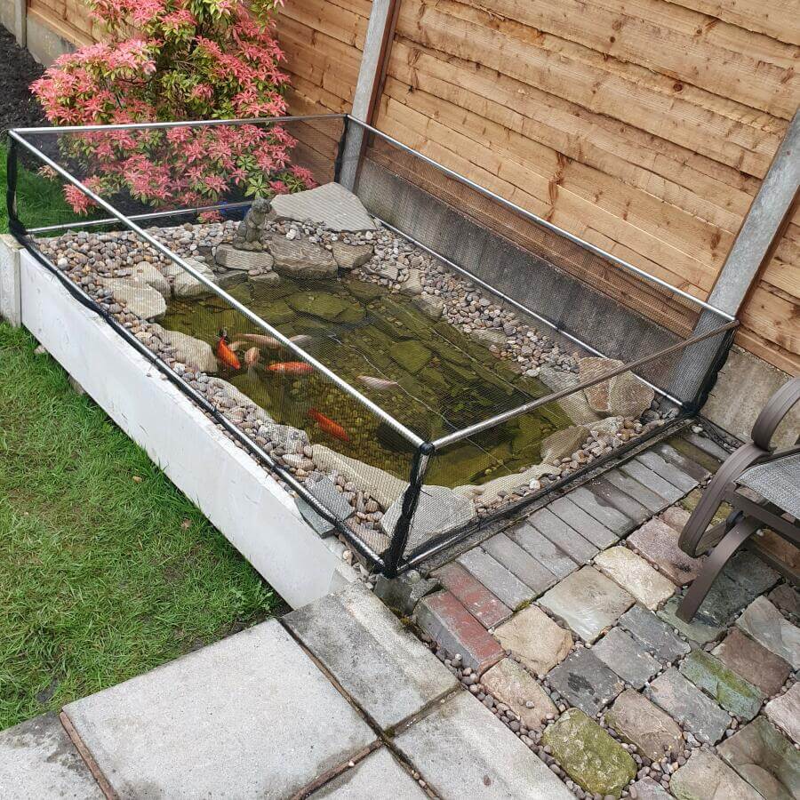 Small garden pond with fish, covered with a pond cage on a patio area.