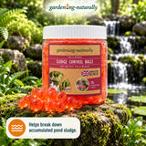 A 1L jar of gardening-naturally Sludge Control Balls placed on a mossy rock in front of a small waterfall and pond, with several translucent orange-red control balls scattered in front. A badge at the bottom left says it helps break down accumulated pond sludge.