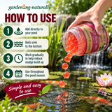 Gardening Naturally Pond Sludge Control Balls being added directly to a garden pond, showing how to use the slow-release gel balls.