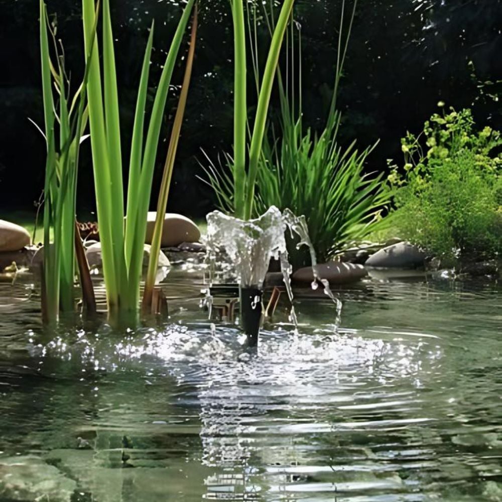 pond pump surrounded by plants