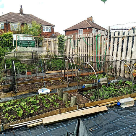 Garden hoop tunnels covered with netting in a garden