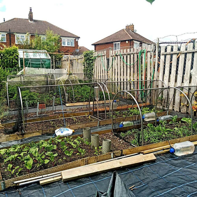 Garden hoop tunnels covered with netting in a garden