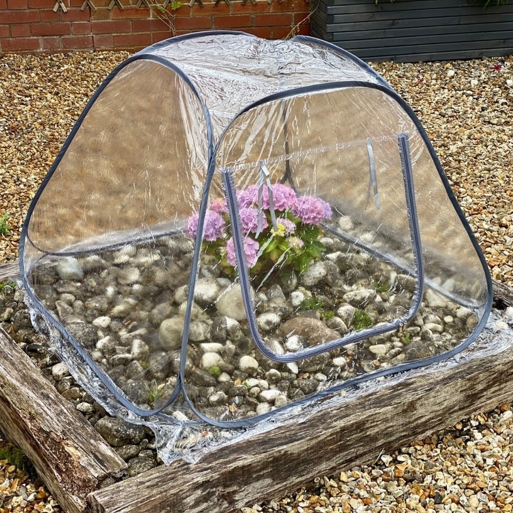 garden cloche see through pop up