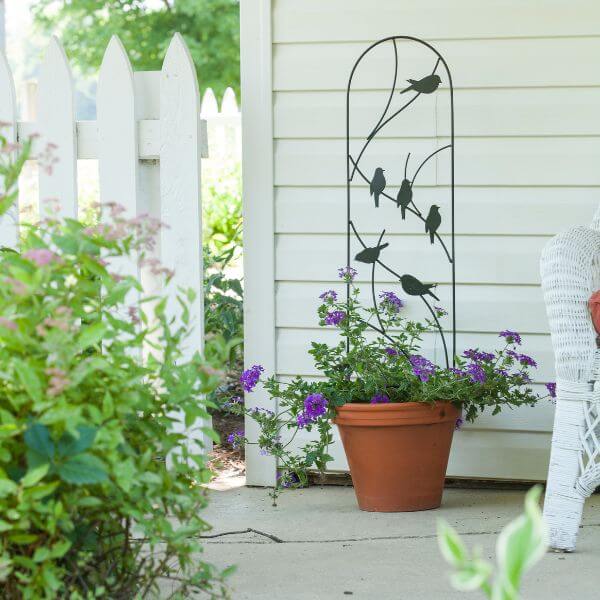 Perching Birds Pot Trellis in Black