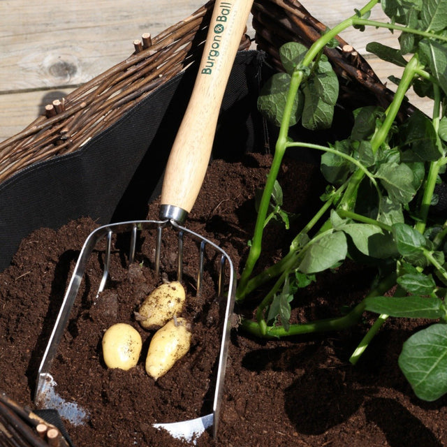 potato garden scoop