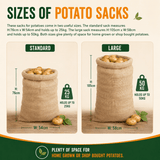 An infographic comparing the sizes of potato sacks, showing a 'Standard' size sack measuring 76cm x 54cm that holds up to 25kg, and a 'Large' size sack measuring 105cm x 58cm that holds up to 50kg. The image features text descriptions, dimensions, and weight capacities on a beige background with green and orange accents.