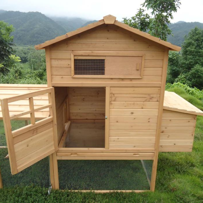 Poultry House and Run Treetops