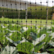 Close-up of black poultry and fruit cage netting with a blurred background showing greenery, likely a garden or fruit cage area.