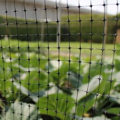 Close-up of black poultry and fruit cage netting with a blurred background showing greenery, likely a garden or fruit cage area.