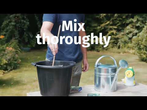 Instructions on how to apply nematodes