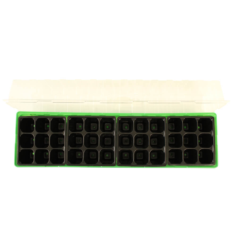 Seedling tray with multiple compartments on a white background