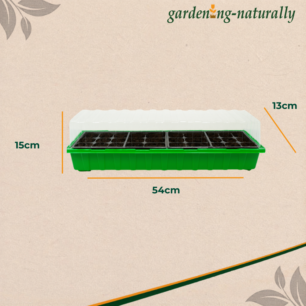 Green seedling tray with dimensions on a beige background, featuring the 'gardening-naturally' brand.