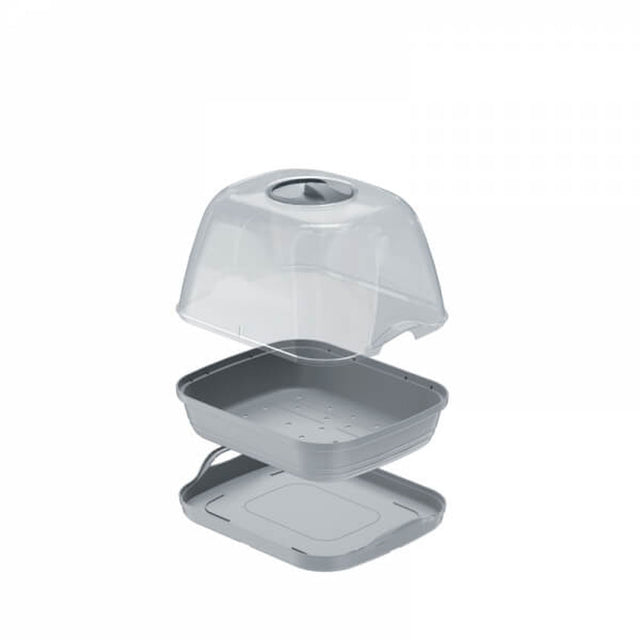 Three components of a plastic small propagator