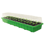 Green seedling tray with transparent lid containing young plants on a white background