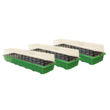 Set of four green seedling trays with transparent covers on a white background