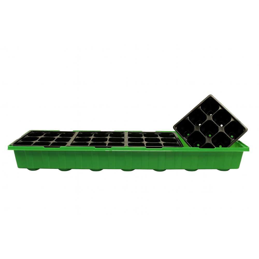 Green seedling tray with black plastic cells on a white background