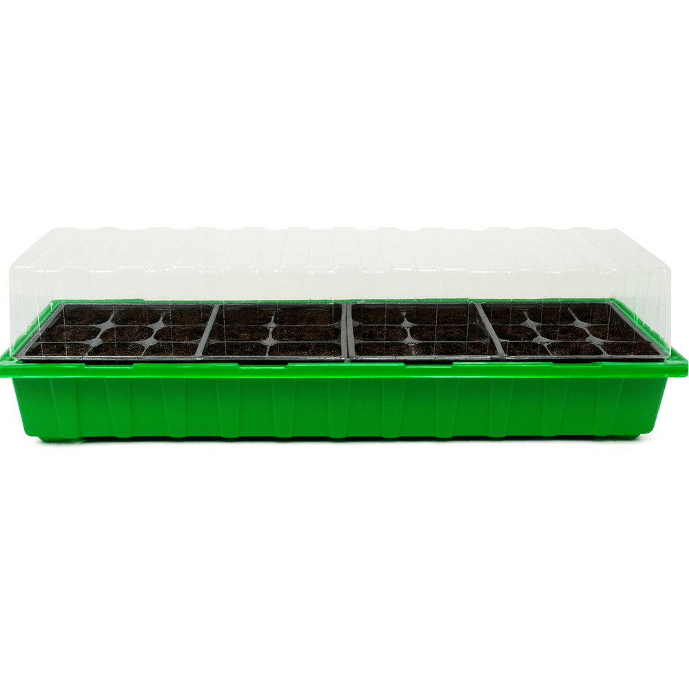 Green seedling tray with transparent lid on a white background